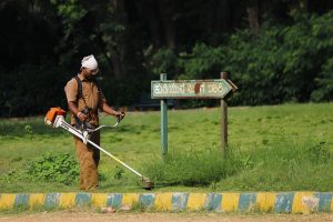 garden maintenance